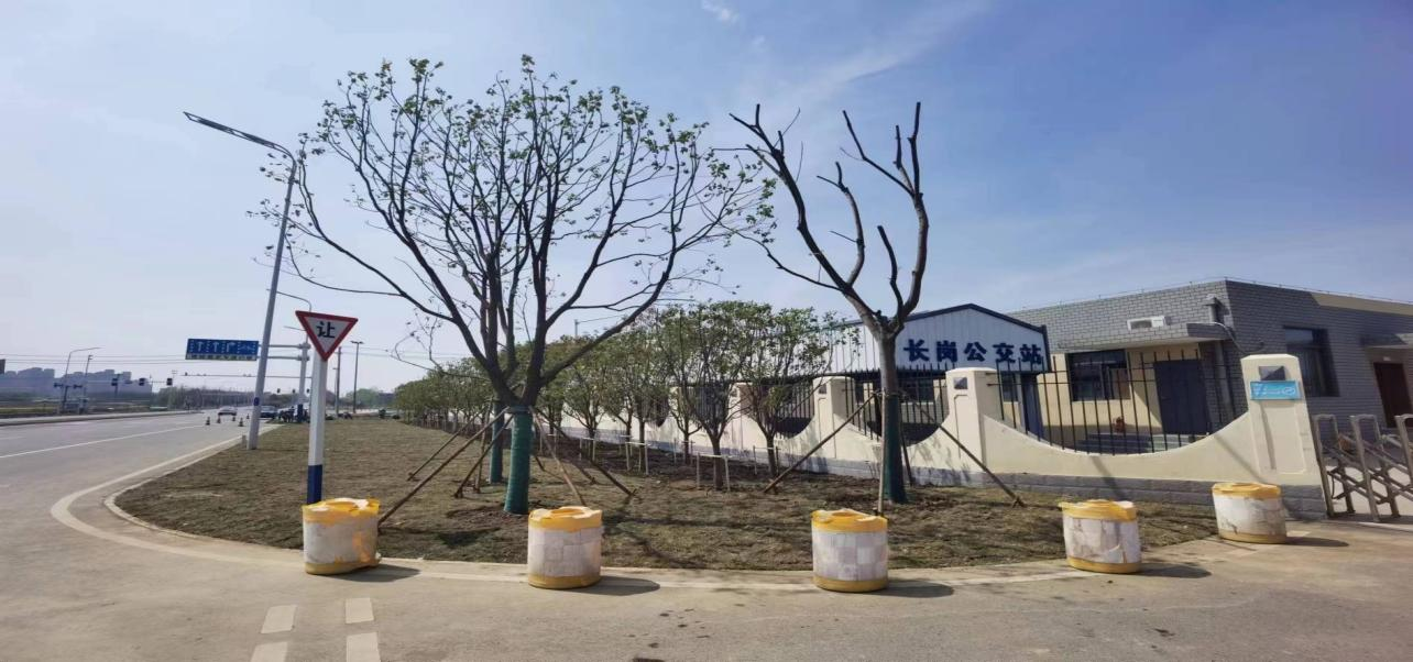 新桥席地而坐2.png